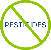No Pesticides